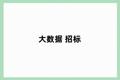 大数据 招标
